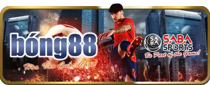 Banner khuyến mãi dola789 đá gà
